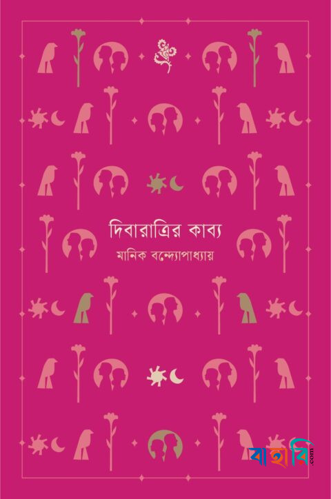 দিবারাত্রির কাব্য