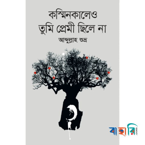 কস্মিনকালেও তুমি প্রেমী ছিলে না