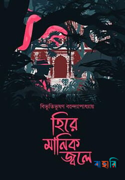 হিরে মানিক জ্বলে