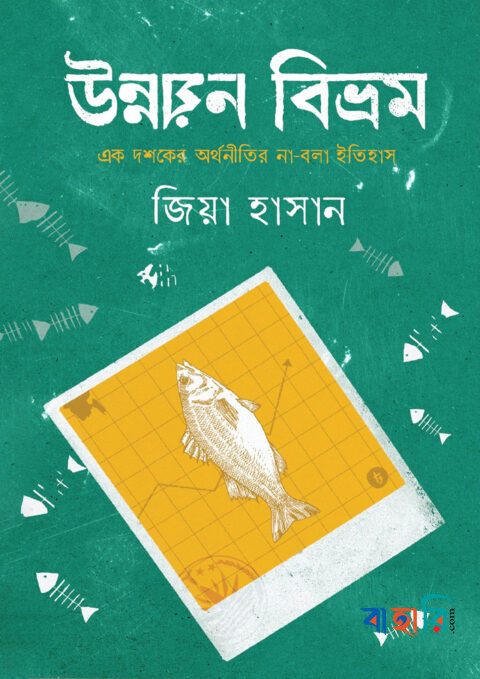 উন্নয়ন বিভ্রম