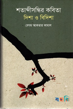 শতাব্দীসন্ধির কবিতা : দিশা ও বিদিশা