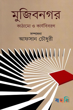 মুজিবনগর : কাঠামাে ও কার্যবিবরণ