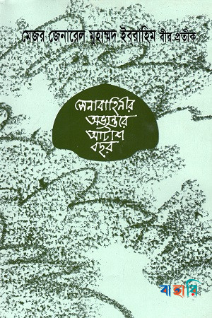 সেনাবাহিনীর অভ্যন্তরে আটাশ বছর