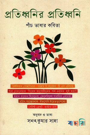 প্রতিধ্বনির প্রতিধ্বনি