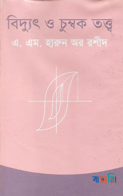 বিদ্যুৎ ও চুম্বক তত্ত্ব