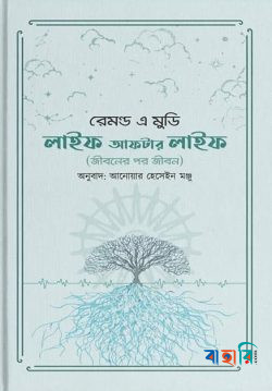 লাইফ আফটার লাইফ