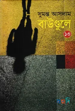 বাউণ্ডুলে-১৩