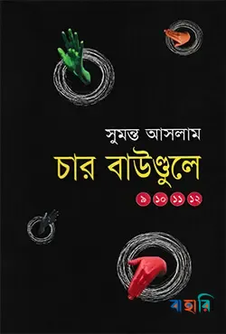 চার বাউণ্ডুলে (৯, ১০, ১১, ১২)