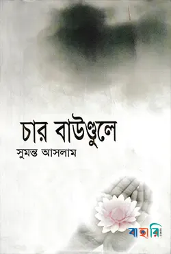 চার বাউণ্ডুলে-(১, ২, ৩, ৪)