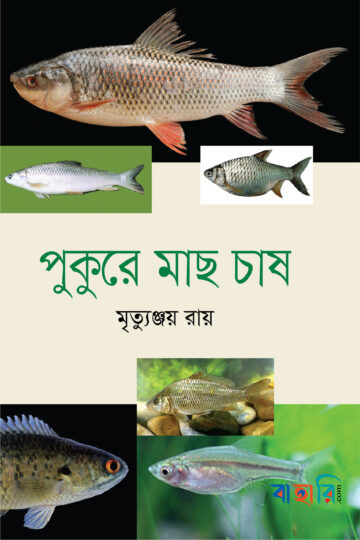 পুকুরে মাছ চাষ