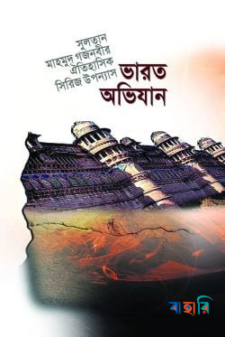 সুলতান মাহমুদ গজনবীর ভারত অভিযান - ২