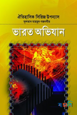 সুলতান মাহমুদ গজনবীর ভারত অভিযান - ৩