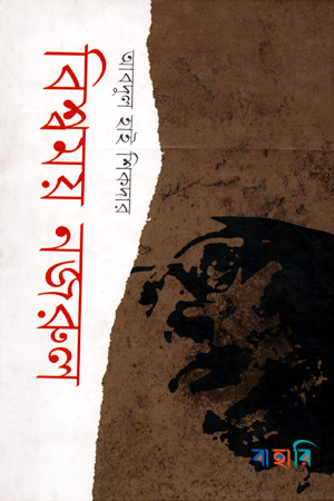 বিশ্বময় নজরুল