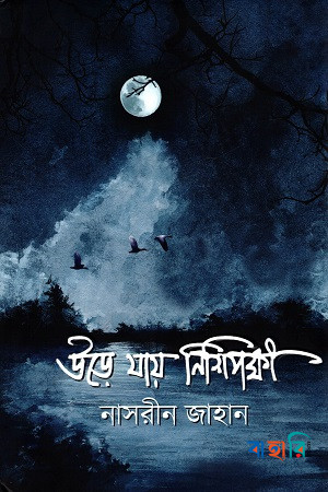 উড়ে যায় নিশিপক্ষী