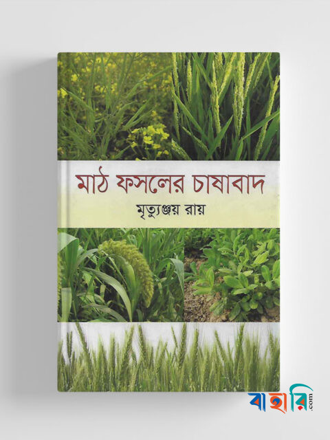 মাঠ ফসলের চাষাবাদ