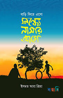 বাড়ি ফিরে এসো সন্ধ্যে নামার আগে