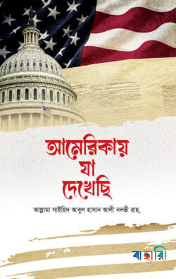 আমেরিকায় যা দেখেছি
